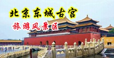 插入美女模特骚穴中国北京-东城古宫旅游风景区